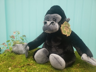 Gorilla Plush From Rogue River Florist, Grant's Pass Flower Delivery